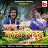 About Java Do Mhara Bittu Song